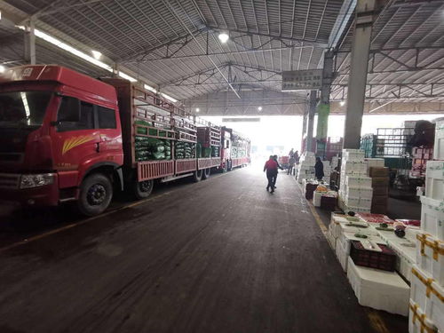 北京市農(nóng)產(chǎn)品運入量分析 蔬果大幅增長，水產(chǎn)品波動穩(wěn)定